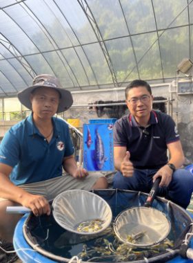 嘉鲤锦鲤-42